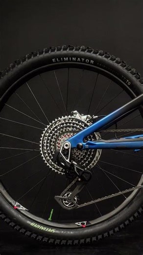 Fanatik Custom Bike: Specialized Turbo Levo S-Works