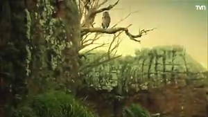 629K views · 16K reactions | Génesis capitulo 3 completo en español latino. Caín huye por haber matado a su hermano Abel. ⬇️ @seguidores | Cristo Es Tu Solución | Facebook