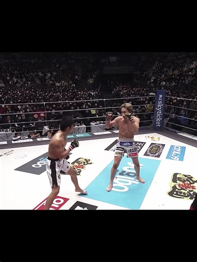 朝倉未来と斎藤裕の興奮の試合