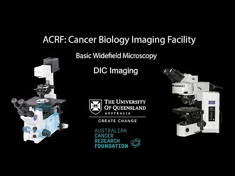 10. Widefield Microscopy Training: Differential Interference Contrast (DIC) Imaging