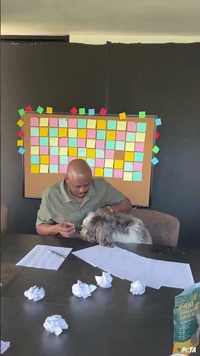 There’s nothing quite like the love of a senior dog ❤️