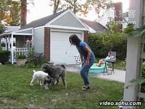 1996 Doctor Who movie theme