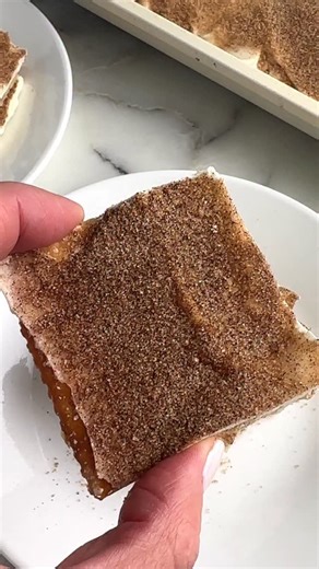 Heather Seeley on Instagram: "⭐️ Churro Saltine Toffee ⭐️ A twist on classic Saltine toffee. Churro Saltine Toffee is a great mixture of salty and sweet. GET THE RECIPE: - Comment “RECIPE” and the link to the recipe will be sent to your DM’s. - OR tap the link in my bio Follow me @foodlovinfamily to be sure you are getting my DM’s 💟 https://www.foodlovinfamily.com/churro-saltine-toffee/ #churrosaltinetoffee #saltinetoffee #toffeecrackers #holidaytreat #whitechocolate #cinnamonsugar #partyfood #