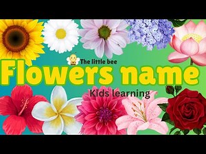 Kids Learning Flower Names | Help kids to identify flowers | Preschool Learning