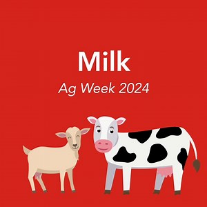 1.3K views · 14 shares | Ice cream, milk, cheese, lotion—oh my, the list goes on! If you’re a dairy lover, you probably have a favorite type. Let’s look at just a few of the many products that are created from milk fat. Shoutout to our diligent dairy farmers as we celebrate Ag Week! | Farm Bureau Financial Services | Facebook