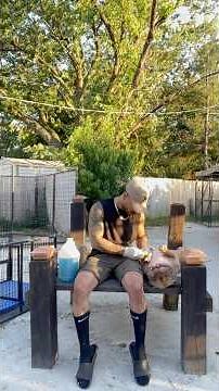 How To Treat Abscess In Dogs Full Video on my channel