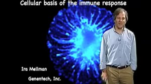 Cell Biology of the Immune Response • iBiology