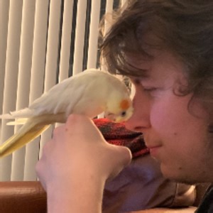 Wildelitegamer - Twitch