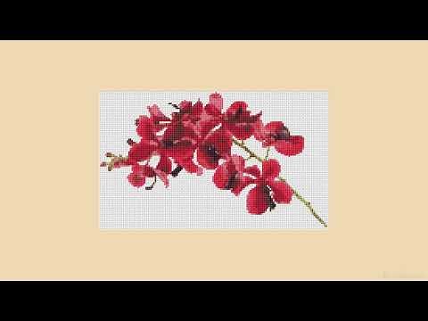 [LAMP](ランプ) Playlist Vol. 1