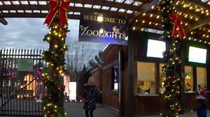 150 reactions · 31 shares | It's not the holidays until you experience Stone Zoo's twinkling winter wonderland. Don't miss ZooLights presented by National Grid US! Tickets: zoonewengland.org/zoolights | Stone Zoo | Facebook