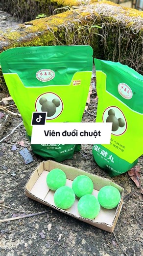 Nhà ai mà nhiều chuột cắn phá thì mua cái viên đuổi chuột này về dùng nè, chuột nghe mùi là bỏ chạy r nha #xuhuong #vienduoichuot #vienduoichuotthaoduoc #vienduoichuotsinhhoc #duoichuot @meminhdang06 @meminhdang06 @meminhdang06
