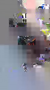 3.1K views · 49 reactions | Maui police held a news conference to show 16 minutes of body camera footage taken the day a wildfire tore through Lahaina town in August. https://abc7.la/46ThoNh | ABC7 | Facebook