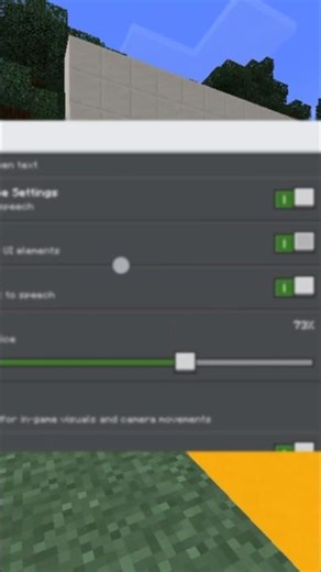 Minecraft funny settings .