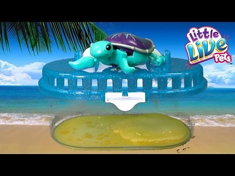 Little Live Pets Lil' Turtle Tank from Moose Toys