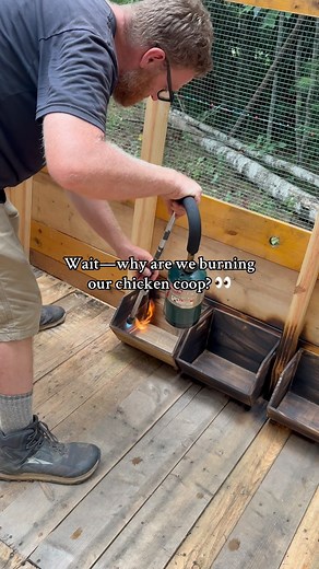Burning wood can actually help preserve and weatherproof it… here’s how it works ⏬️ Since so many were asking me about this, I thought I would explain it deeper for y’all ⏬️ 🔥 We’re not just playing with fire—my husband is weatherproofing our scrap wood chicken coop using an old Japanese method called Shou Sugi Ban (a.k.a. charring the wood). This traditional technique helps make the wood: ✔️ Water-resistant ✔️ Insect- and pest-repelling ✔️ Longer lasting in weather ✔️ Even a bit fire-retardant