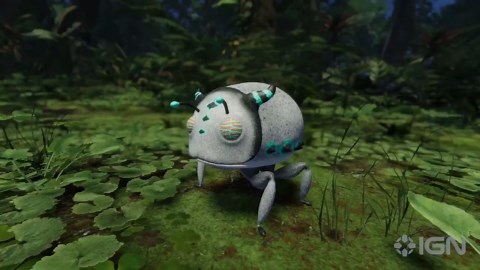 Forest Floor Official Announcement Trailer