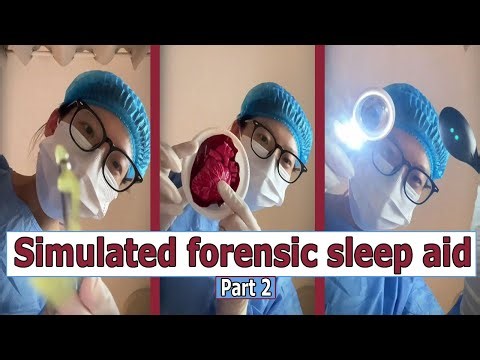 ASMR | Sleep aids Simulated forensic part 2 ASMR 😴😴