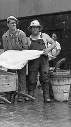 How fish experts judge the perfect catch at New York's Fulton market