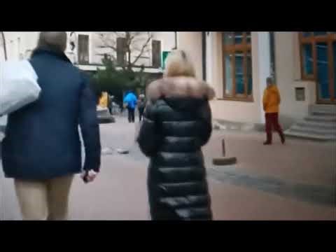 Long Puffer Coat Fur Hood Street