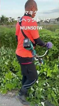 [Weed Cutting] Cutting weeds super fast with the Makita MUN501W pole hedge trimmer.