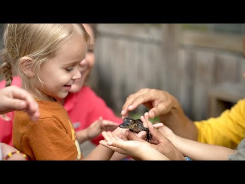 A Day With Everglades Advocates | KidVision Mission Preview