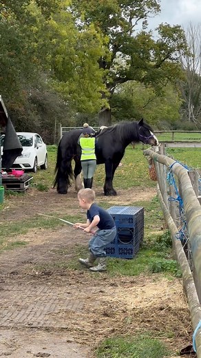 Relaxed horses on a fresh day and children playing happily at our family ‘farm’… It’s not posh or pretty but it’s peaceful and it’s perfect ❤️ We are getting ready for a fun hack - eyes peeled for videos later…. 👀 #fblifestyle | Trina's cobs