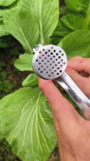 Garlic Paste Extrusion Tool