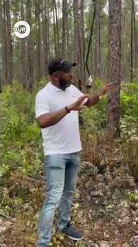 Our News Is On the Site of North Andros Plane Crash