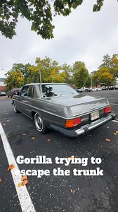 25K views · 315 reactions | Brandon Monroe's (2) Skar Audio VXF-12 subwoofers sure do beat up the trunk of this classic Mercedes! • •  15% OFF SITEWIDE   www.skaraudio.com  ✈️ FREE & FAST SHIPPING ✈️ ⚡ Savings For A Limited Time Only ⚡ #skaraudio #subwoofer #bass #caraudio #spl #6thorder #mercedesbenz #reel | Skar Audio | Facebook