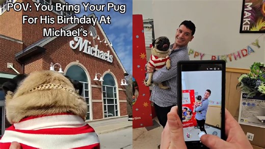 Pennsylvania Man Throws a Birthday Party at Michaels For His Adorable Pug, 'I'm LOCKED in'