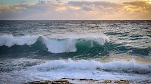 Vermüllt, versauert, verschwitzt - Ökosystem Meer im Wandel