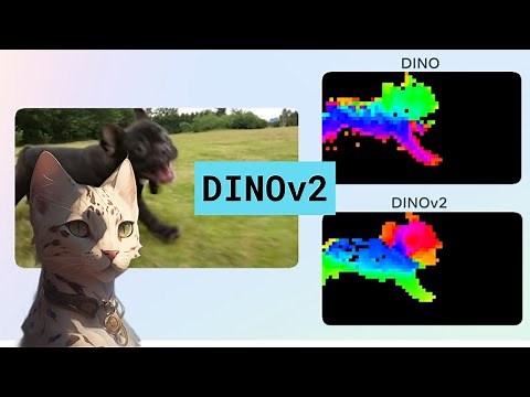 DINOv2