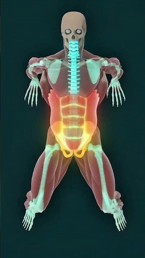 Anatomy of the Reverse Tabletop: What Really Happens to Your Body? 🧠💪