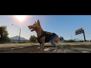 K9 Patrol | GTA FiveM