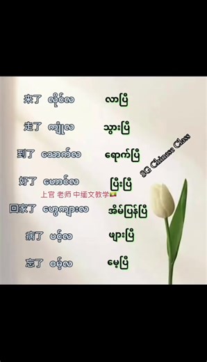 线上中文和缅文课程