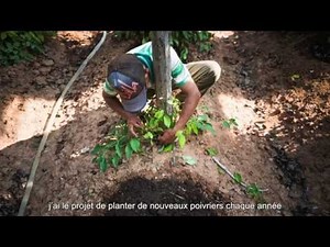 AFD : កសិកម្ម គ្រួសារនិយាយអ្នកធ្វើនៅស្រុកខ្មែរ (AGRICULTURE )