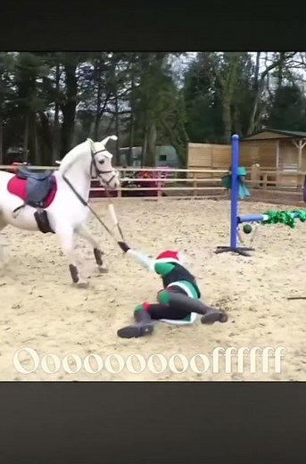 #harlow #horse #equestrian #pony #horseriding #riding #jumping