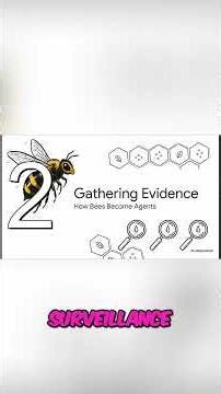 Bee Pollen The Secret Forensic Report of Their Travels