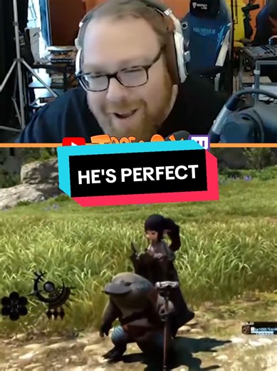 Jesse Cox's Adorable FFXIV Platypus