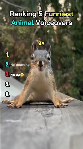 Ranking 5 Funniest Animal Voiceovers