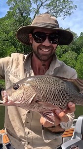 Epic Mangrove Jack Fishing! | Back 2 Basics Adventures