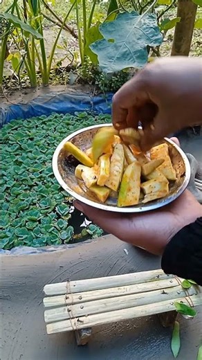 The taste of mango paste in this summer sitting next to the mini pond 🤤🤤
