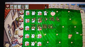 【pvz情侣版】线条小狗｜小白大战小鸡毛~(¯▽¯~)