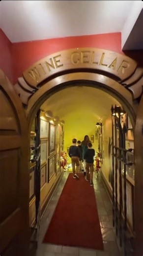 Kyle Busch's wife Samantha showcases 'prestigious' wine cellar tour at Angus Barn with family