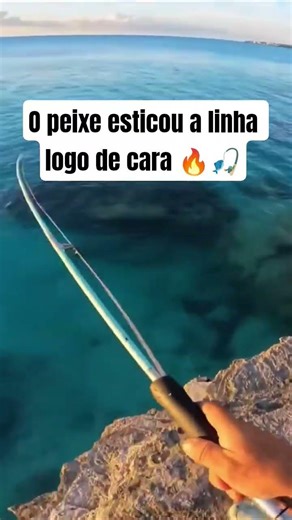 O peixe esticou a linha logo no começo 💥 #peixe #pescaria #pesca #shorts #fishing