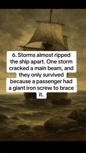 19 insane facts about the mayflower #facts #history #ship #ocean #learn | theep0shman