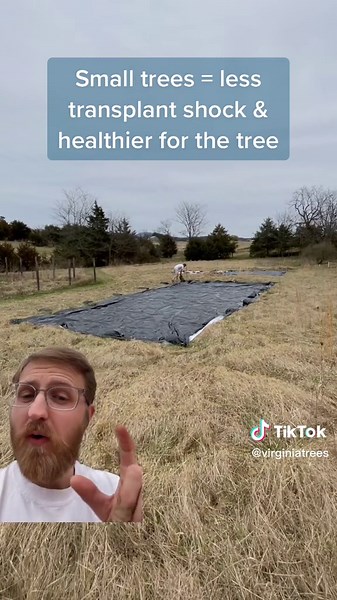 Virginia Trees on TikTok