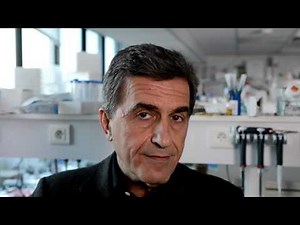 Succès de thérapie génique pour la maladie de Wiskott-Aldrich : Interview de Fulvio Mavilio