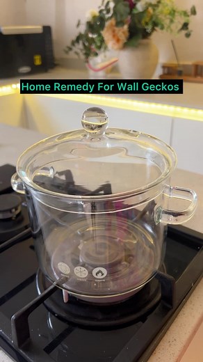 Make Your Own Natural Gecko Repellent Spray at Home
