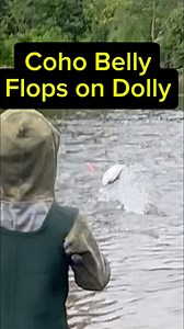 8.3K views · 57 reactions | Coho Salmon body slams Dolly Varden! #alaska #salmon #char #alaskalife #fishing | Alaska Living the Dream Fishing and Outdoors | Facebook
